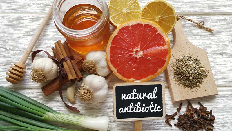 a Irvine chiropractor at DiSiena & Irvine Chiropractic, Brain Wellness, and Nutrition explains 11 natural antibiotics